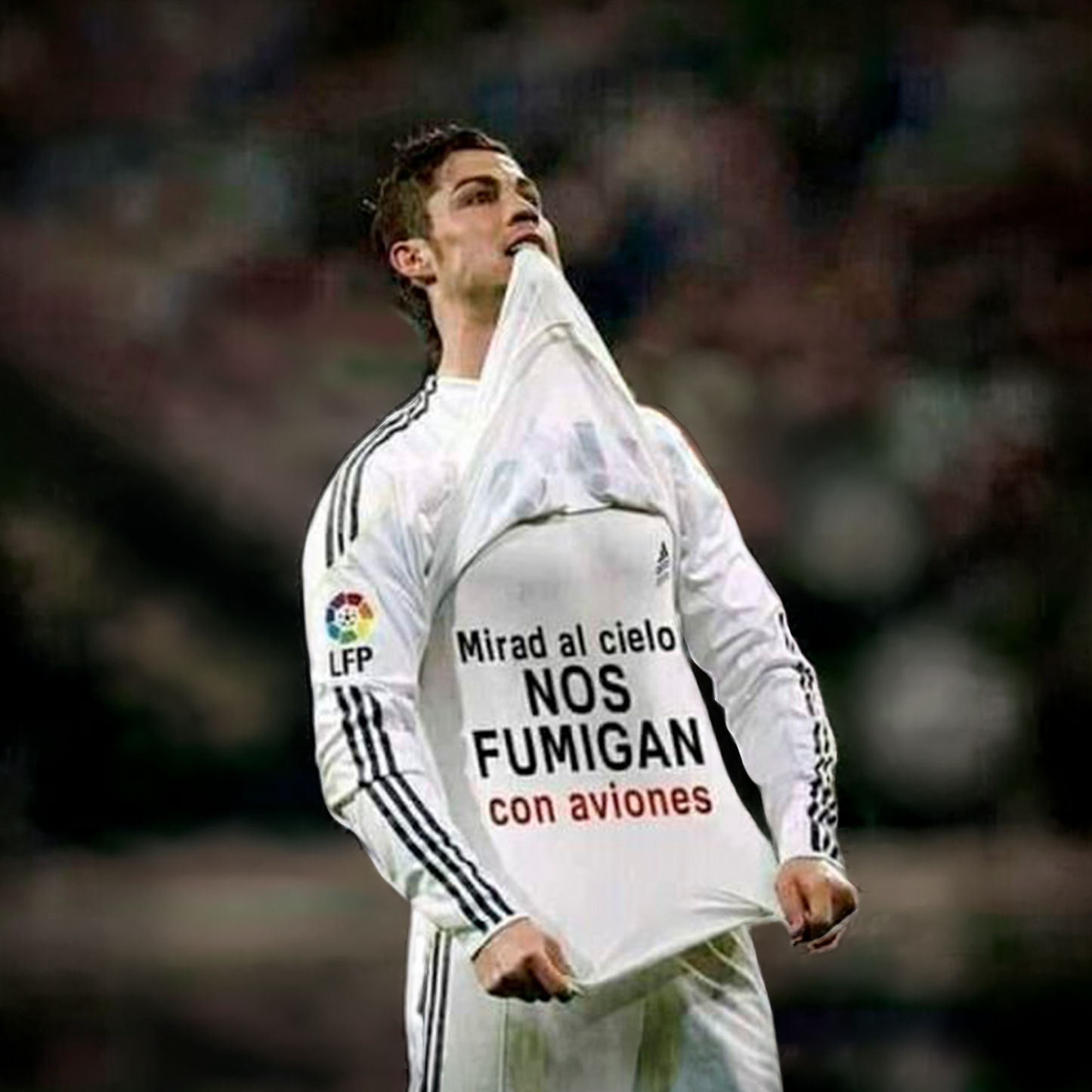 Camiseta NOS FUMIGAN CON AVIONES